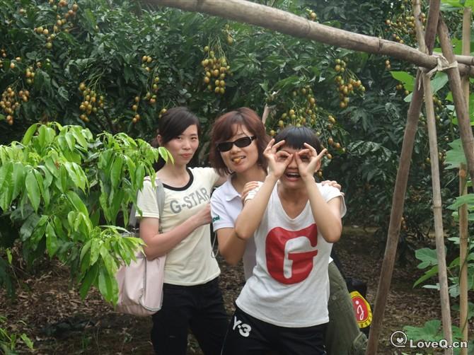 冷月618-loveq我们在摘荔枝3.jpg