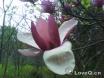DSC00242.JPG