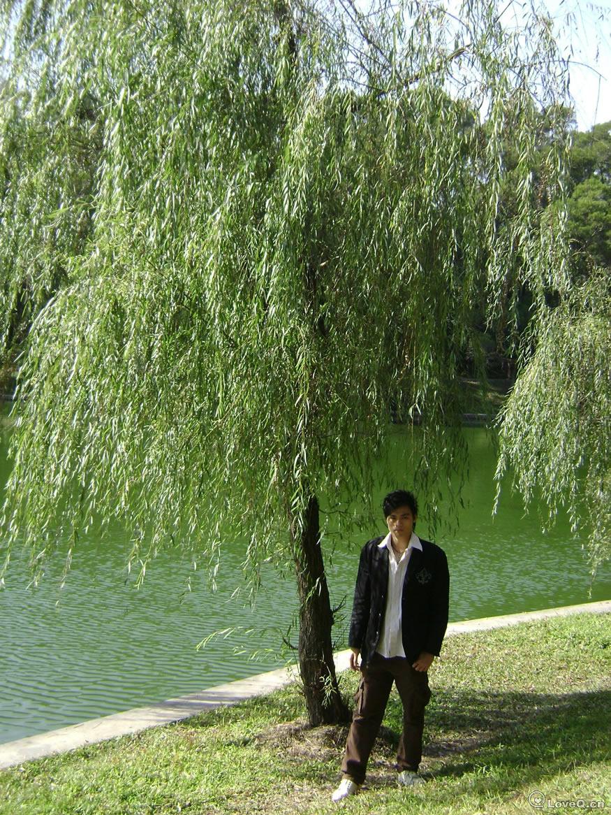 大树好遮阴!_我.一直在变._I Love Q_LoveQ 一