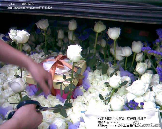 过一花店,望见一有心人士正在为自己GF策划一