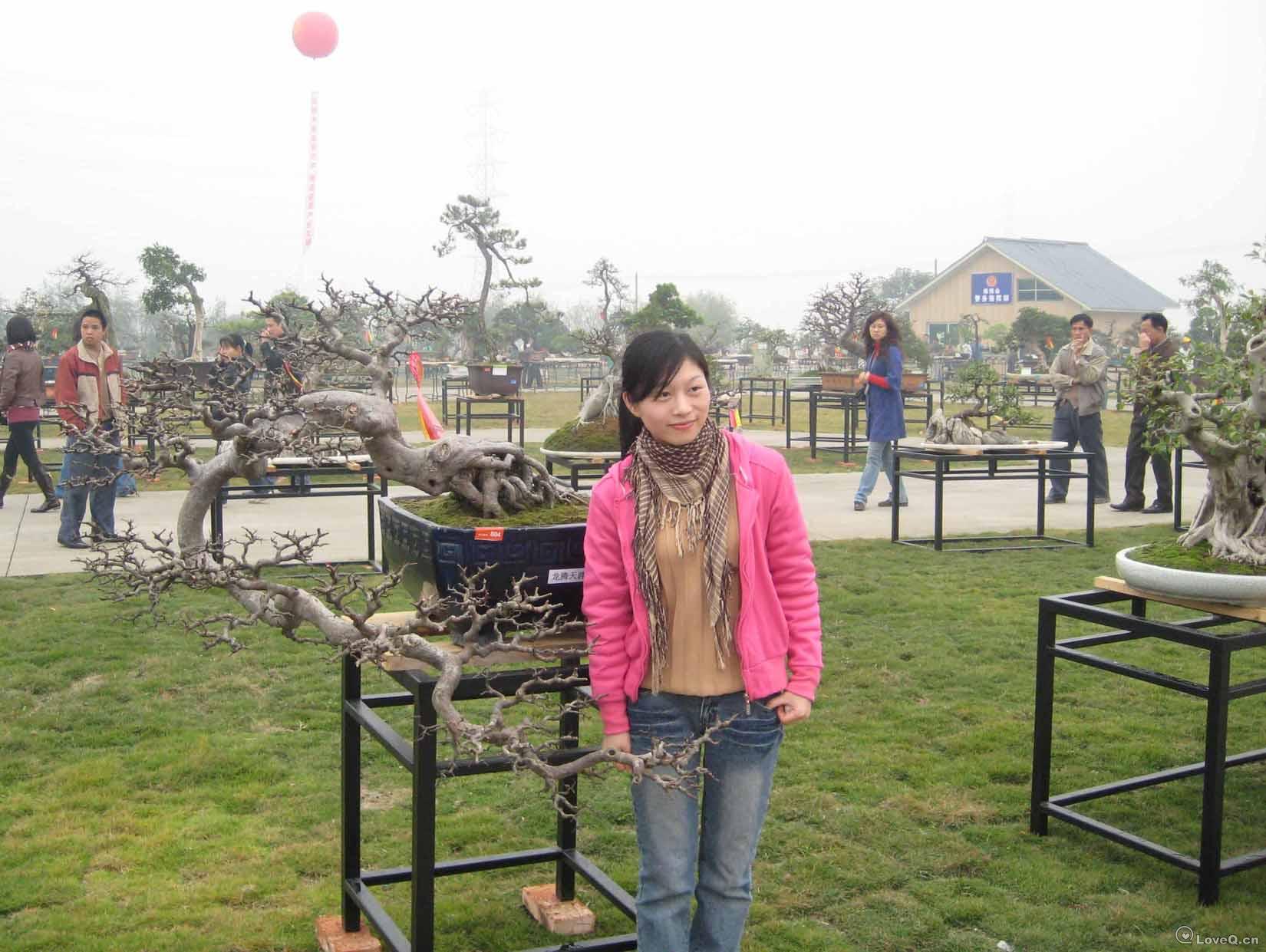 盆景艺术博览会_走自己的路