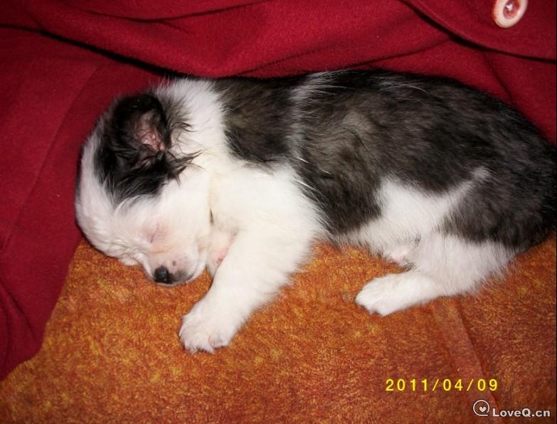 asdad.jpg_我家啊be.__loveq 一些事一些情官方