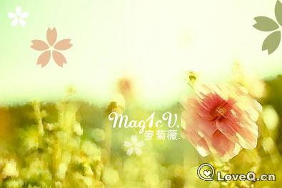1308032893352773040.jpg